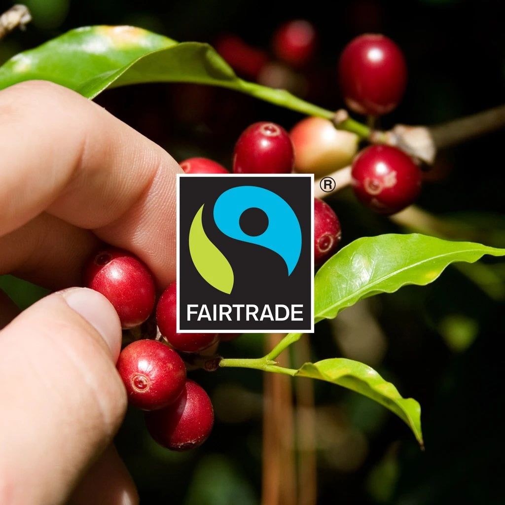 Fairtrade Classic Flavor Variety Pack - 3 Blends - 30 Pods