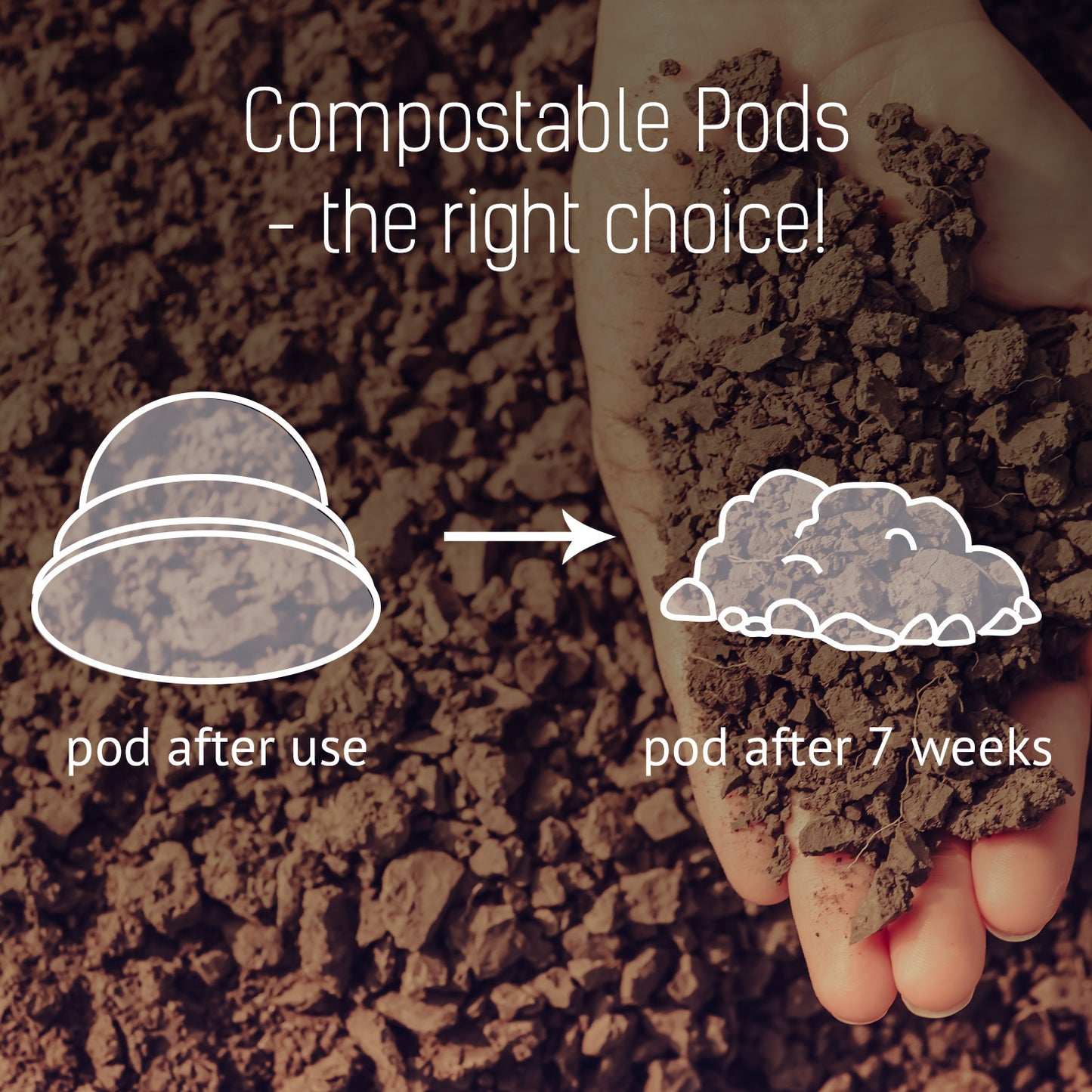 The Knight - 12 Compostable Pods